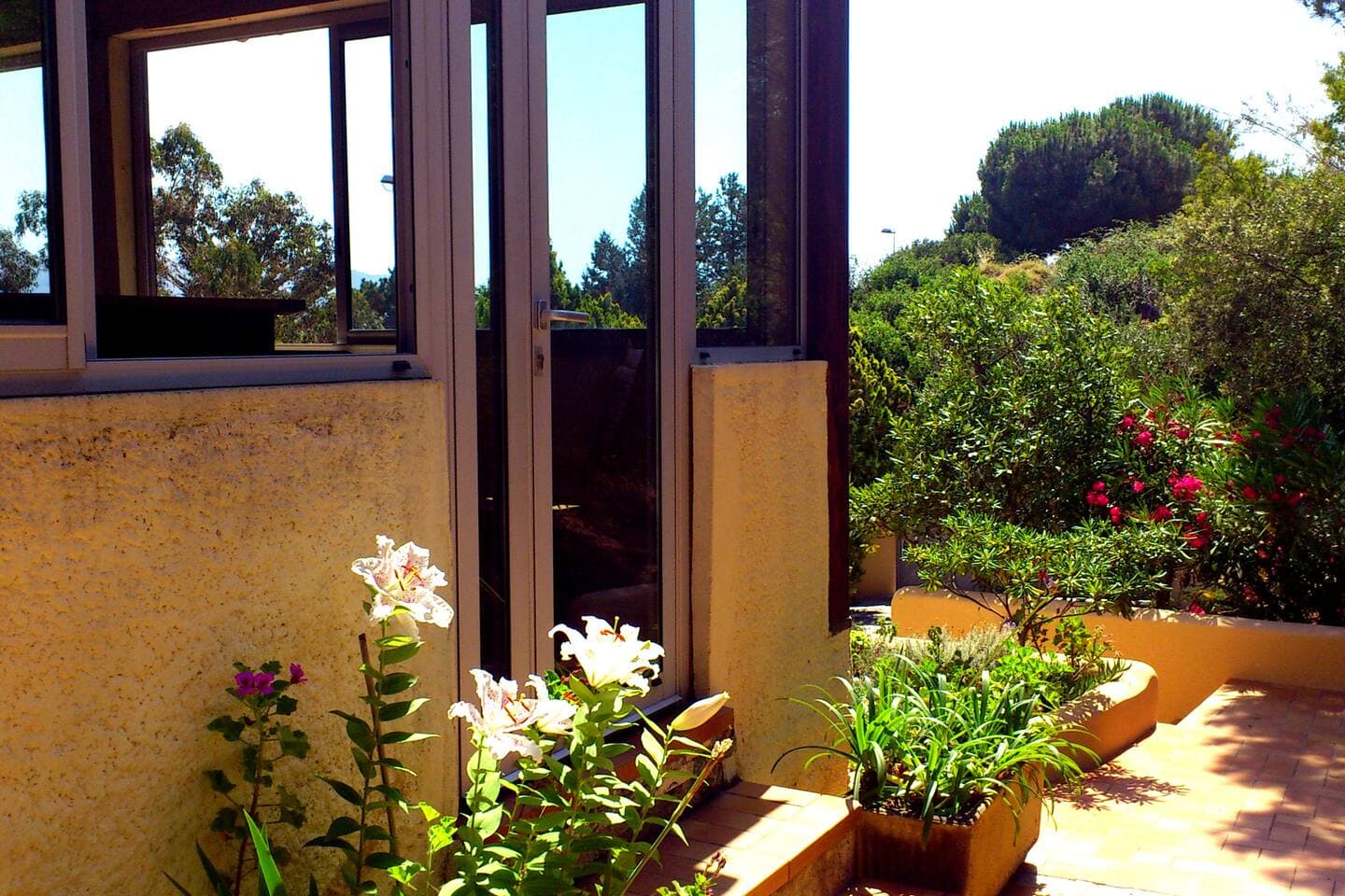 Gallery Image 9