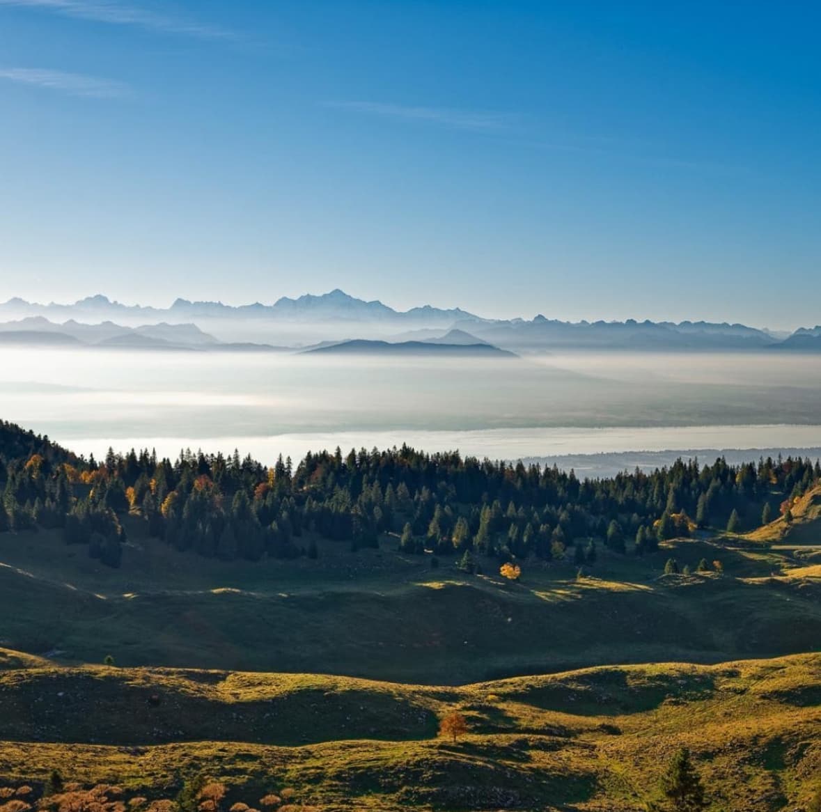 Vue depuis le sommet de la Dole