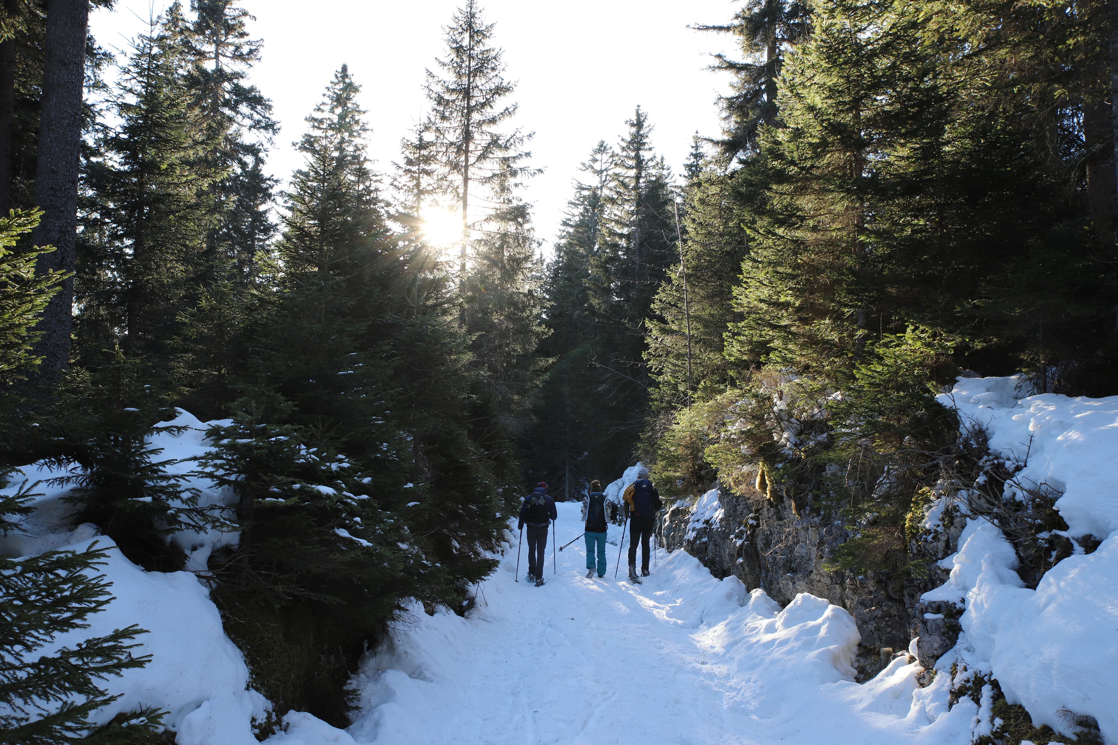 Randonnée en raquettes dans le Jura