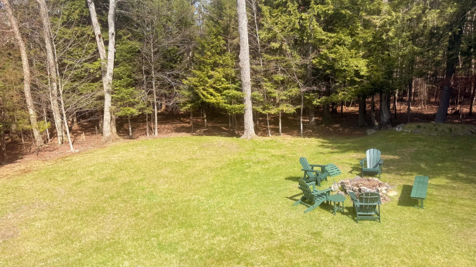 Yard.jpg