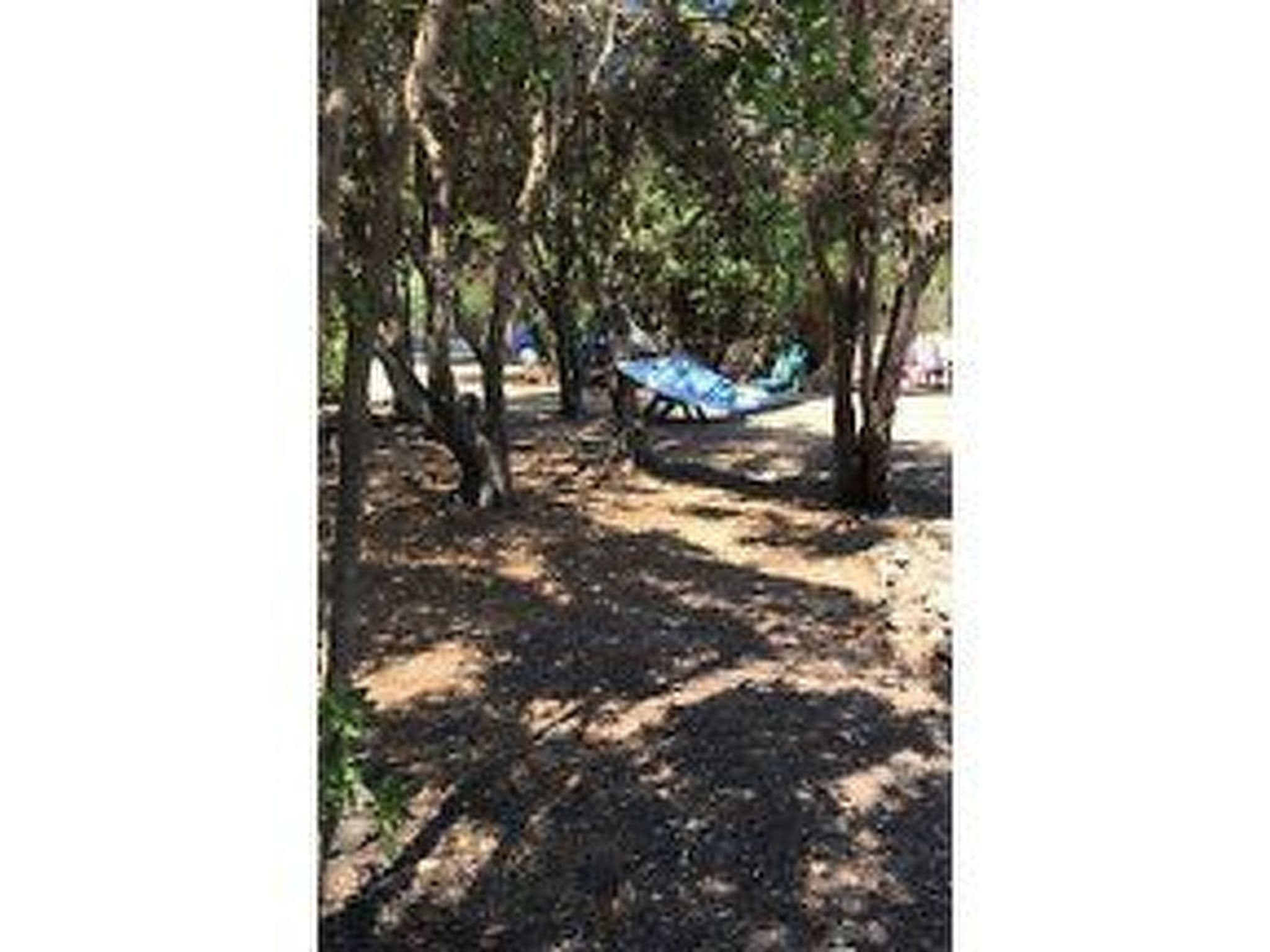 Gallery Image 15