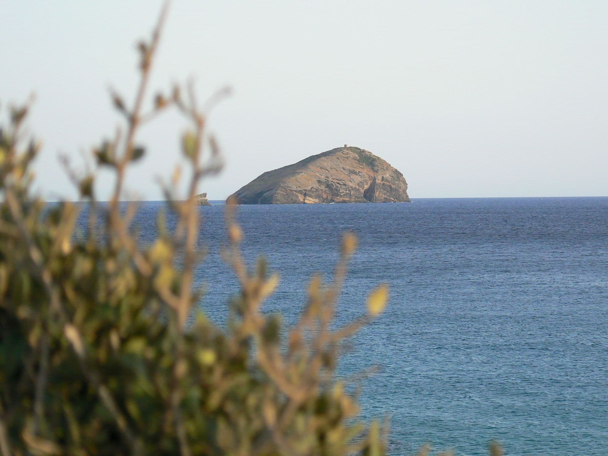 Gallery Image 28