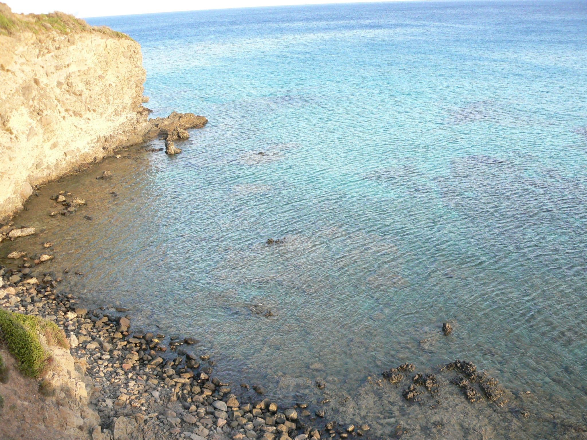 Gallery Image 29
