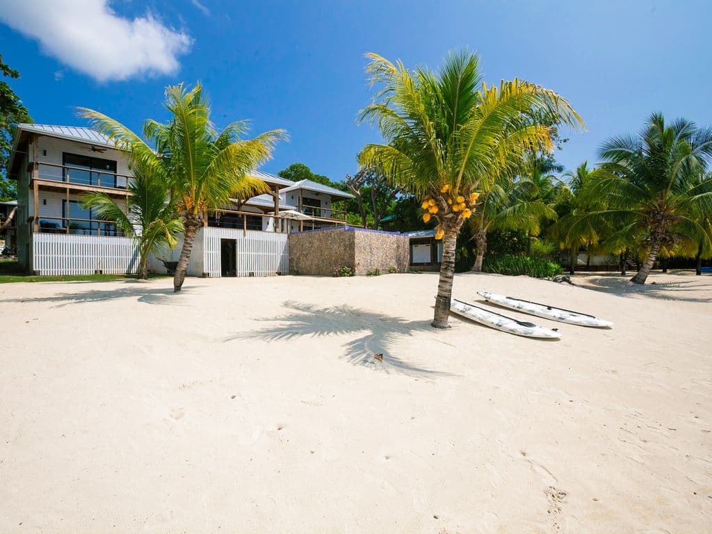 🌊 Explore the reef right from our shore! We provide paddleboards for our guests, so the whole group can enjoy the calm, crystal-clear Caribbean waters together. No rentals needed—just grab a board and go! 🏝️
