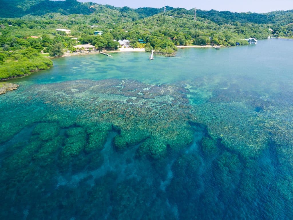 From an aerial view, Vivaro Roatan looks like a private island outpost. The drone perspective reveals just how close you are to the vibrant Mesoamerican Barrier Reef, the second-largest in the world.