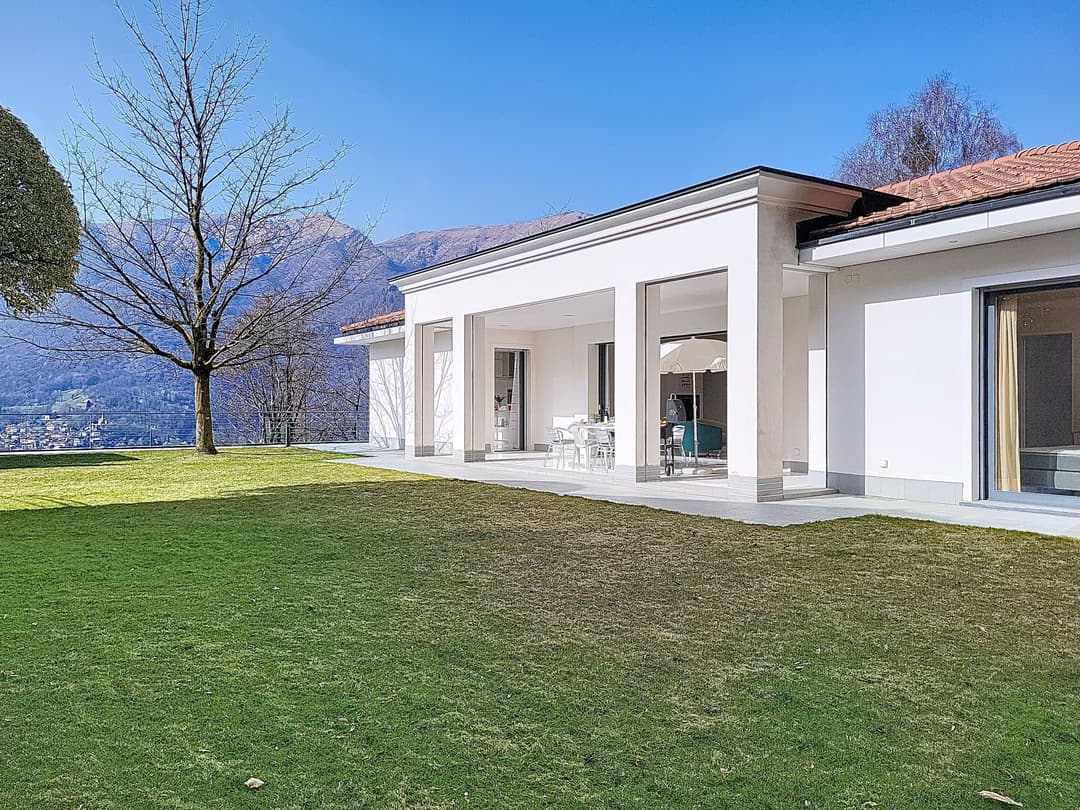 Large Image