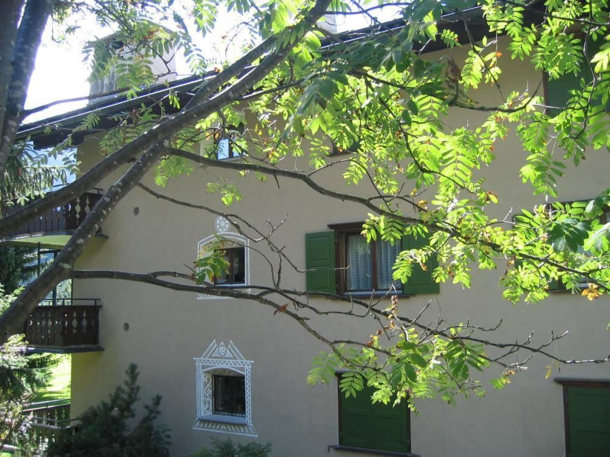 Gallery Image 11
