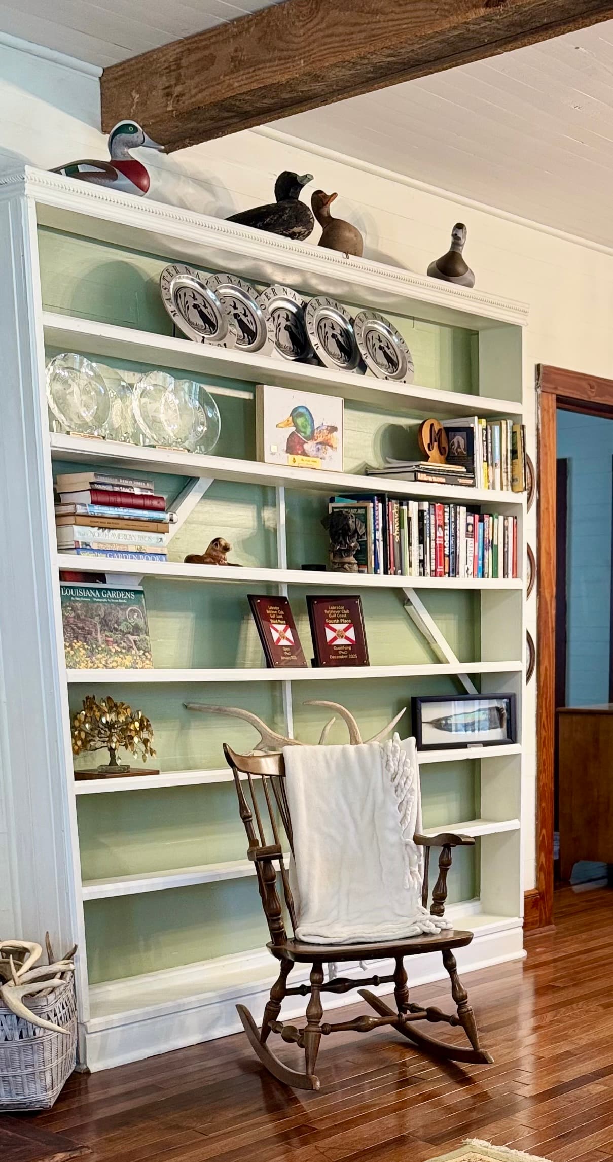 Large bookcase full of interesting items 