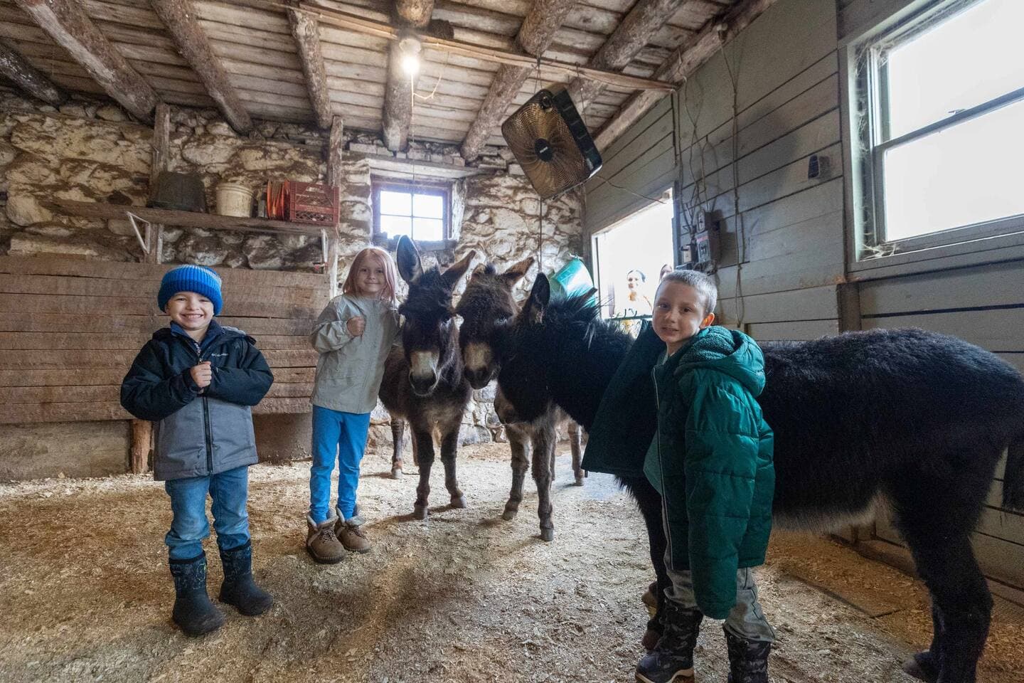 Gallery Image 8
