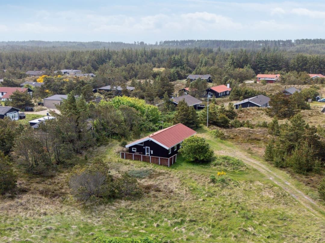 Large Image