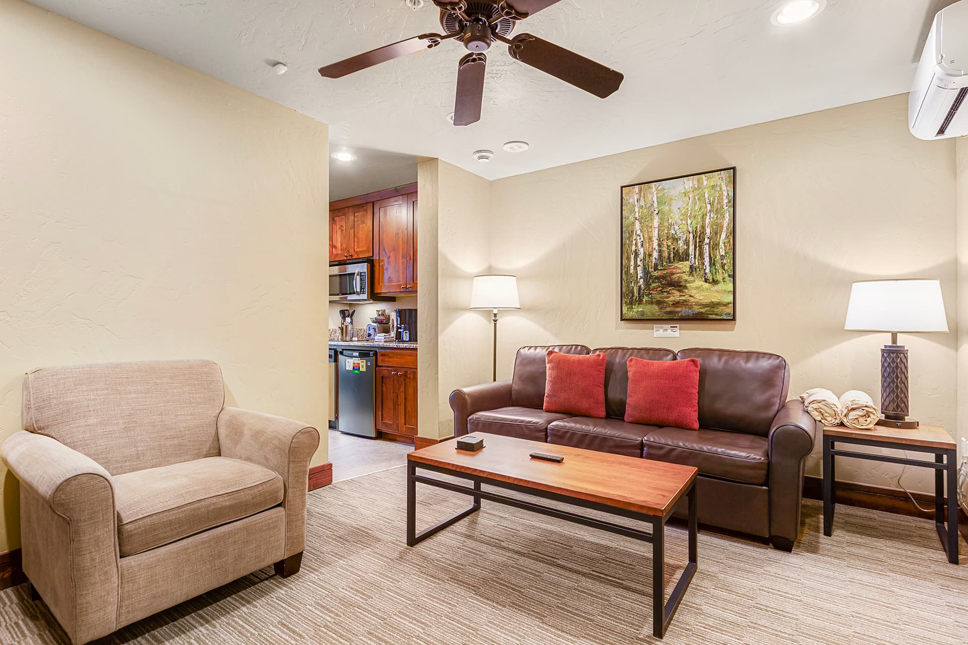 1 of 2 Suite Living room