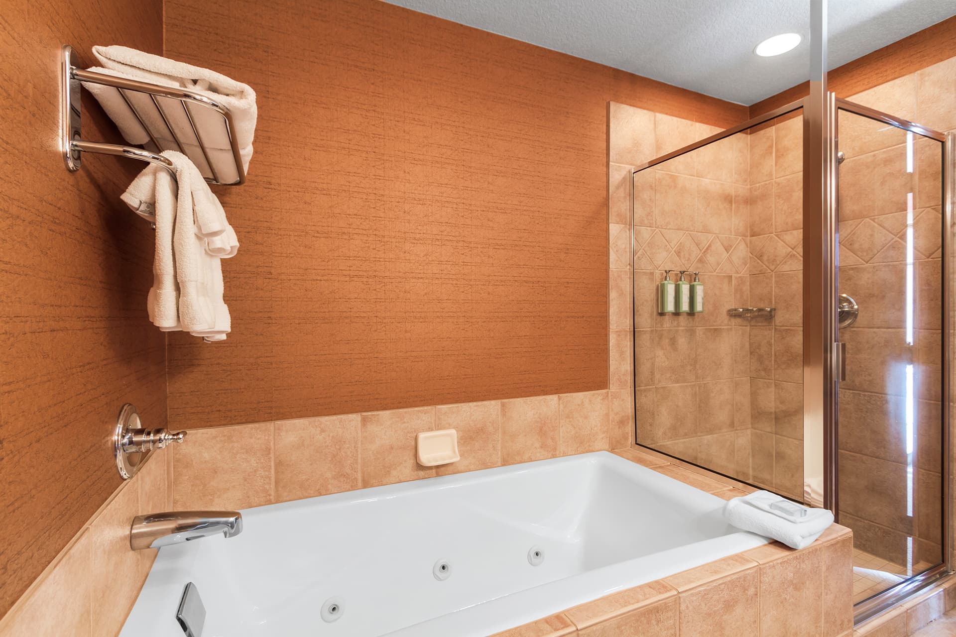 Master bathroom - tub and shower