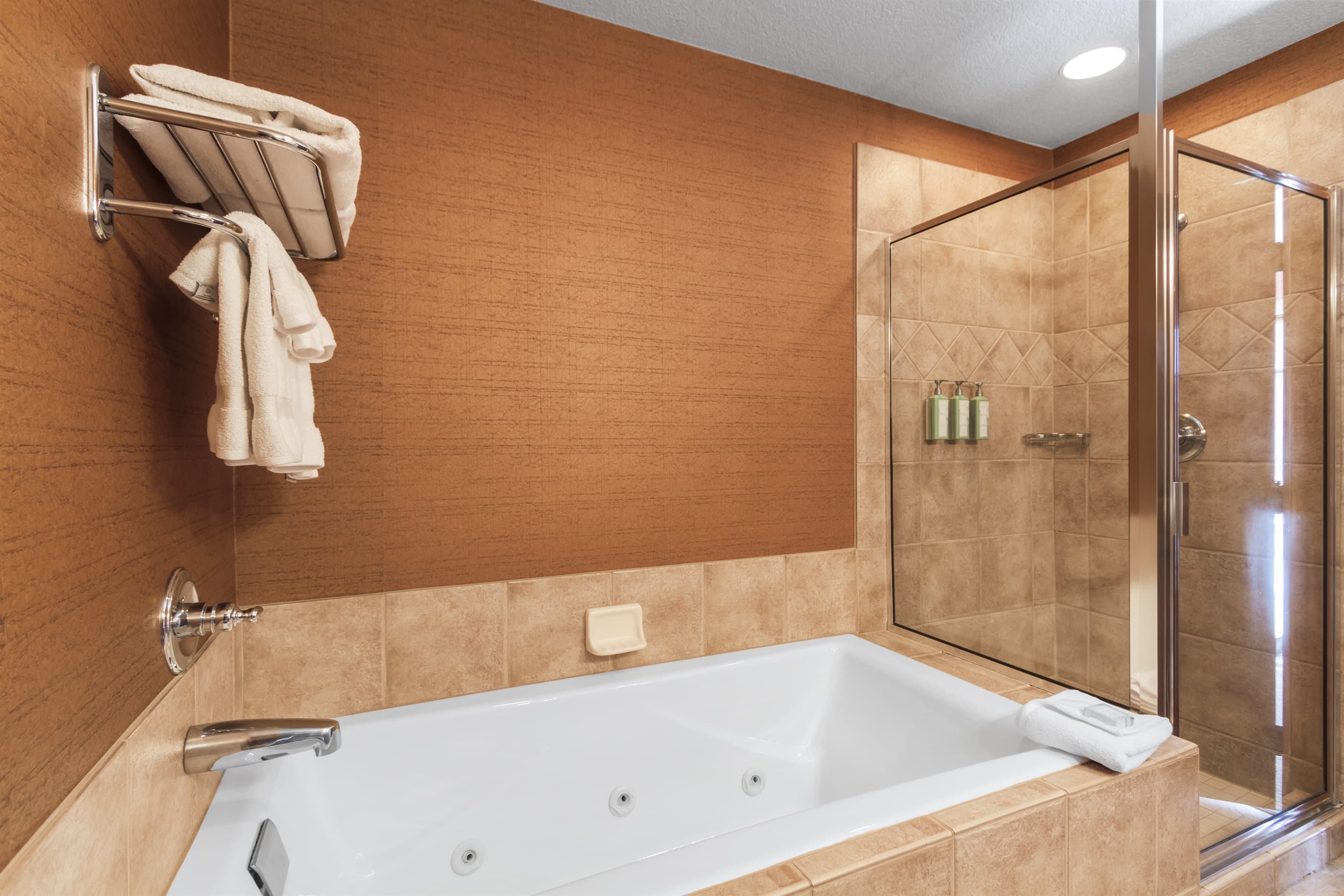 jetted tub with separate stand up shower