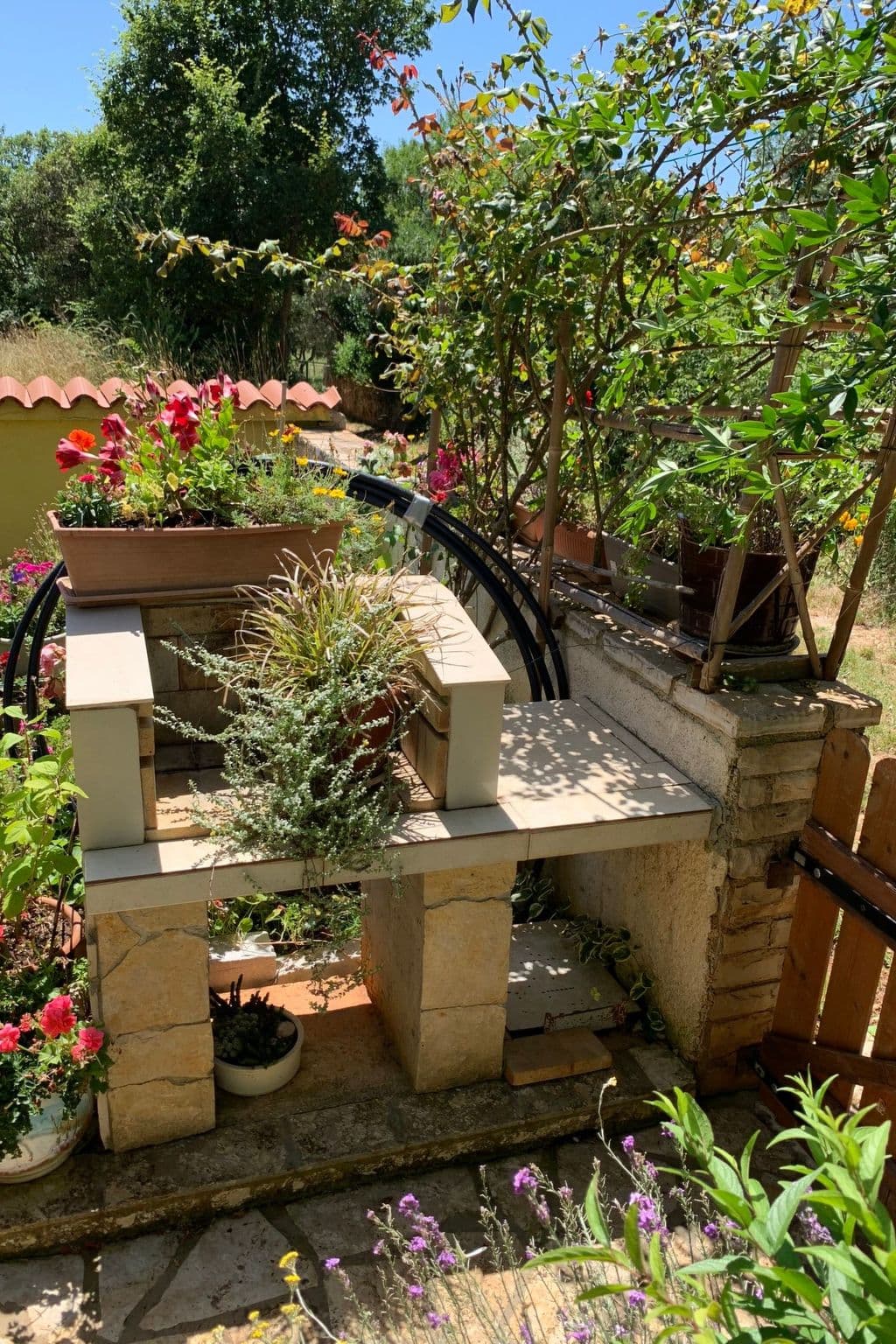 Gallery Image 6