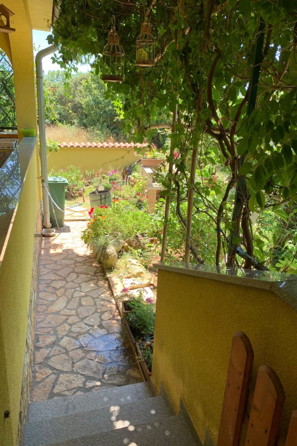 Gallery Image 7