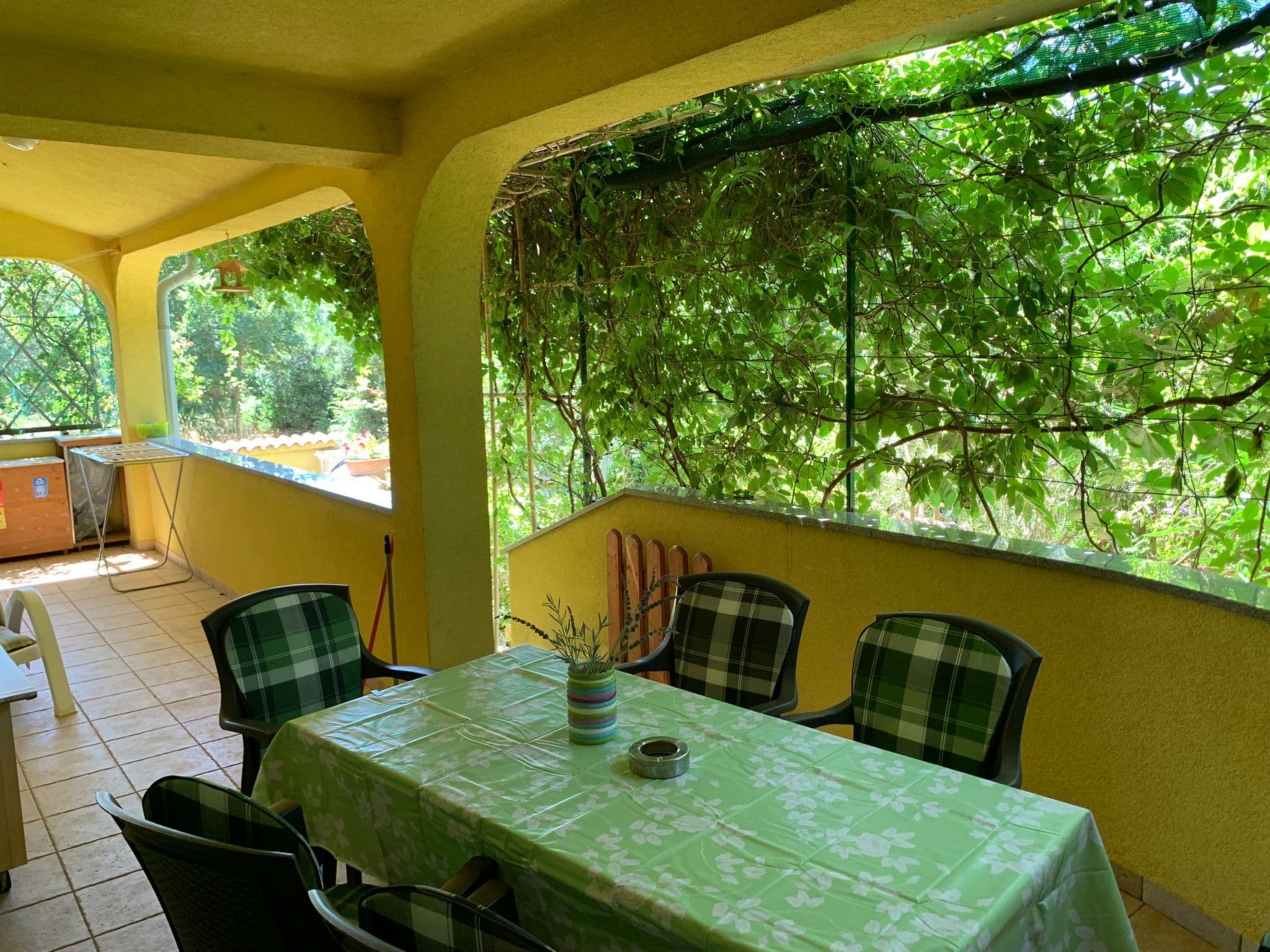 Gallery Image 9