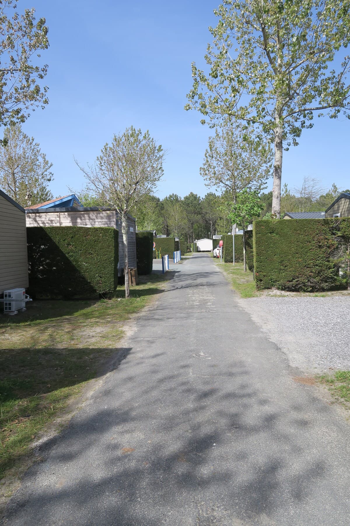 Gallery Image 34