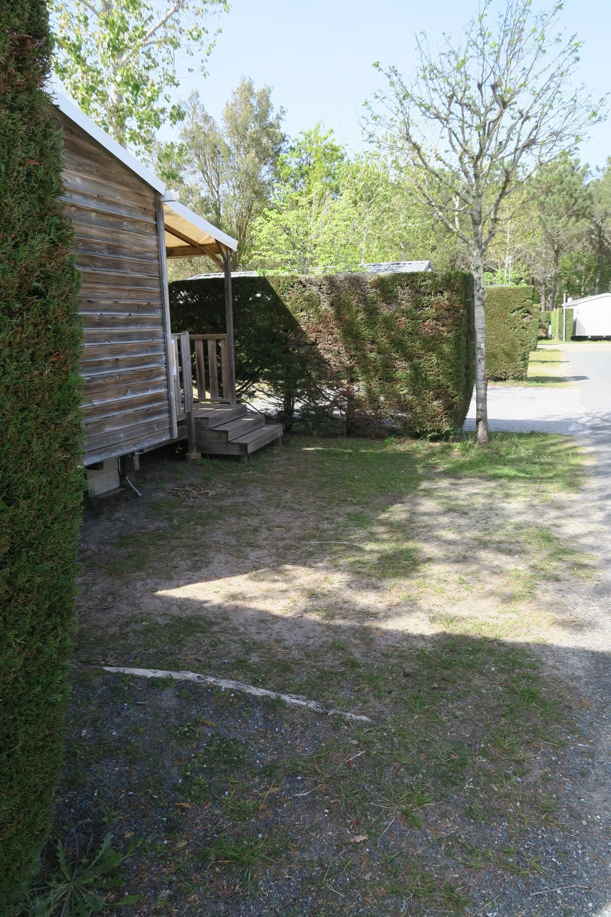 Gallery Image 35