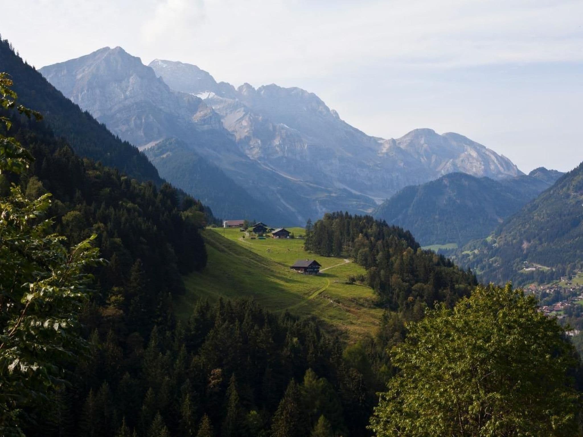View