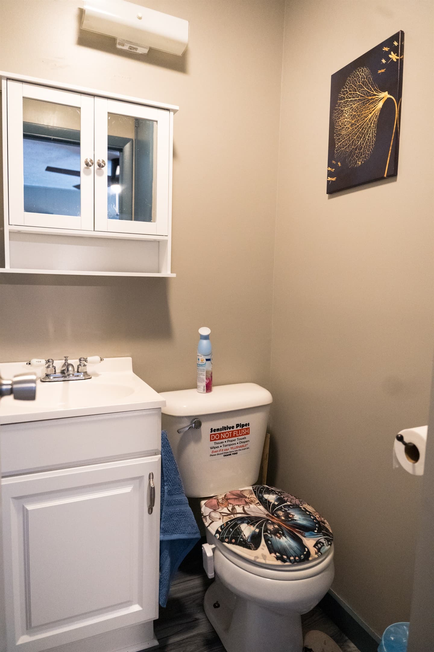 Before Bathroom