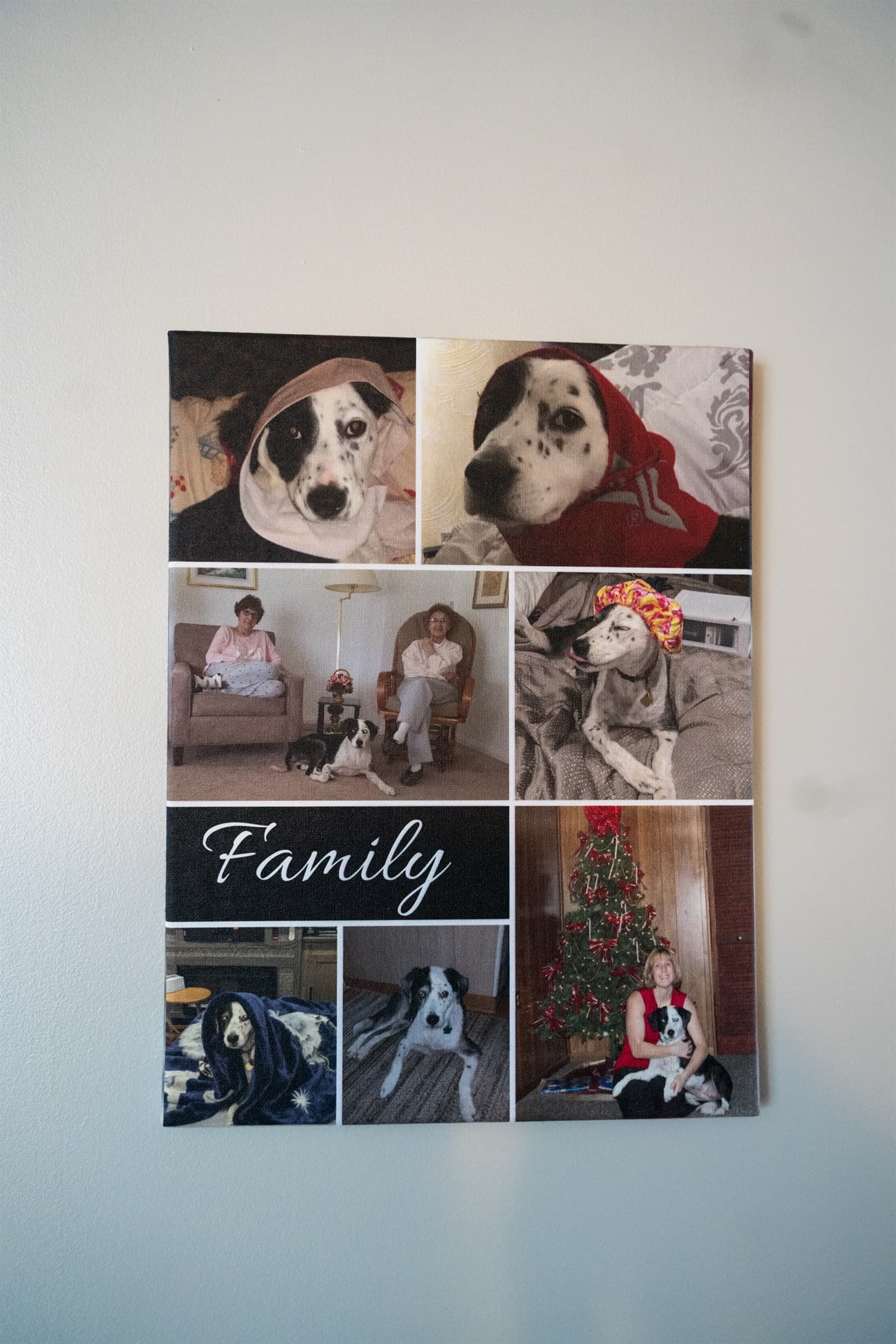 Meet Our Family