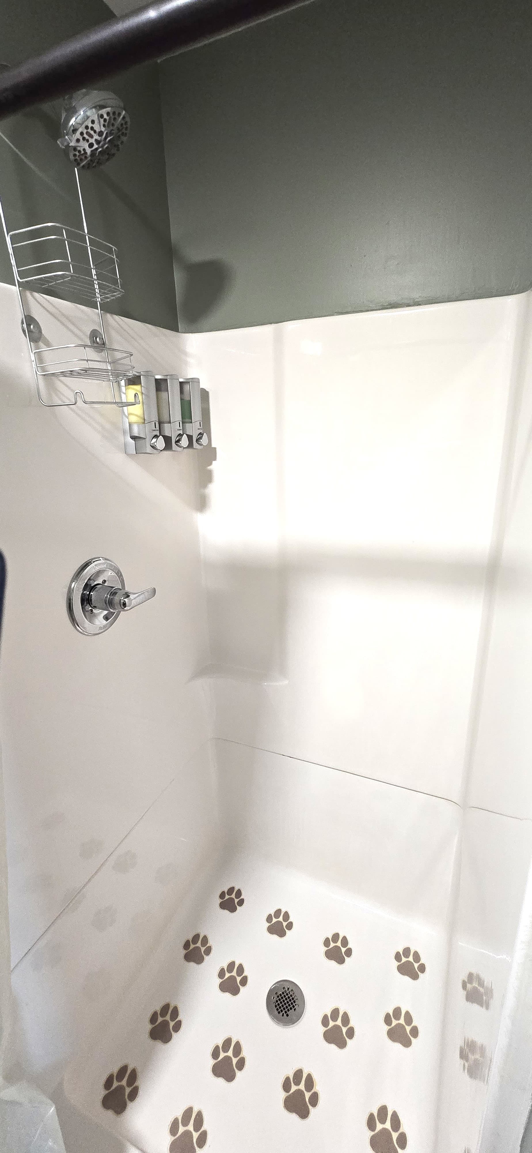  Complimentary Shampoo, Conditioner & Body Wash (Dove & Mane ’n Tail)