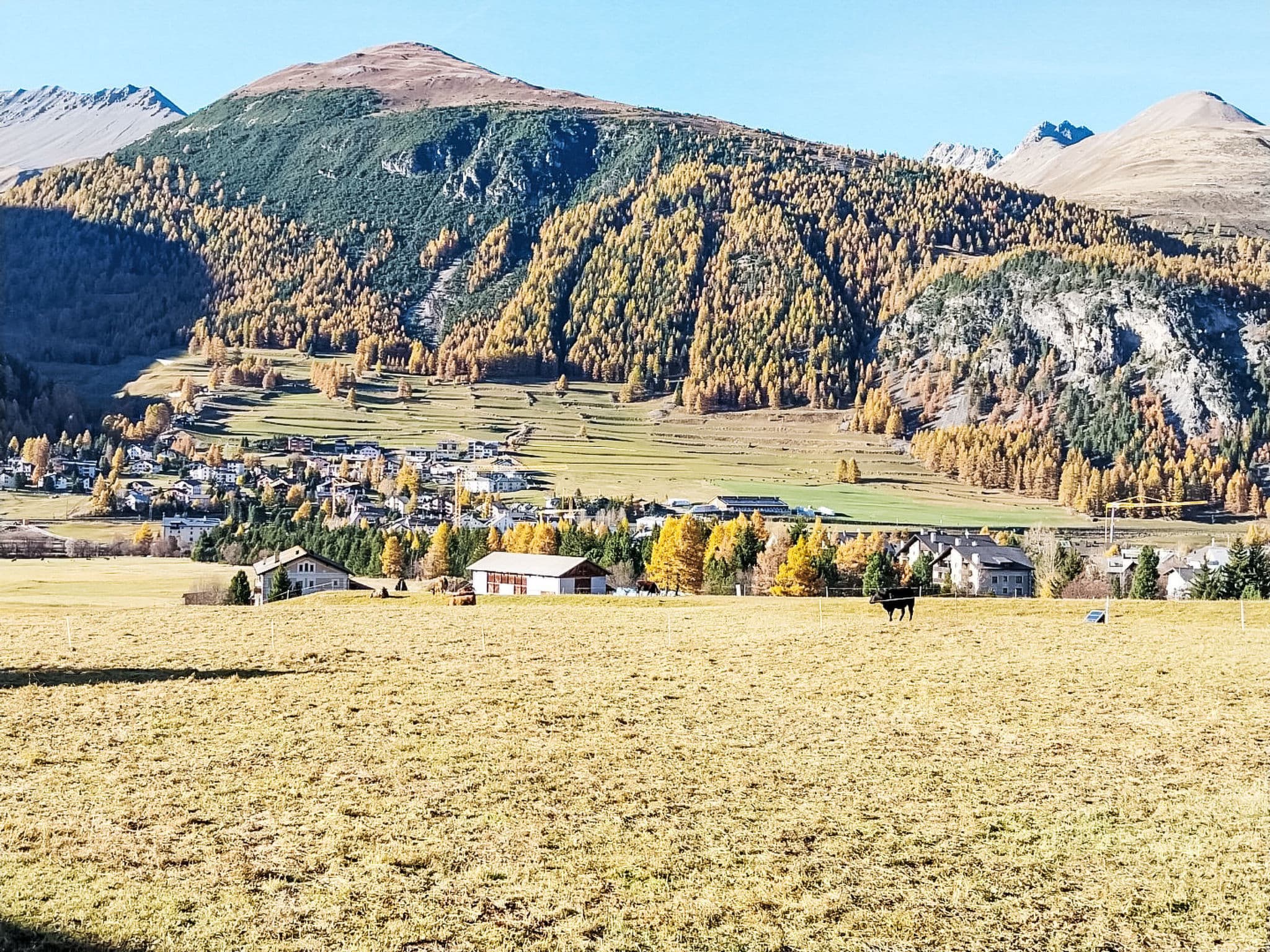 View