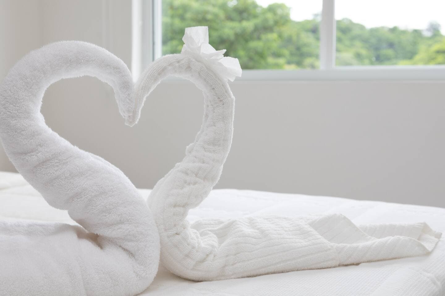 We chose Queen-size beds so you can sleep comfortably close to your loved ones in this breathtaking natural destination.