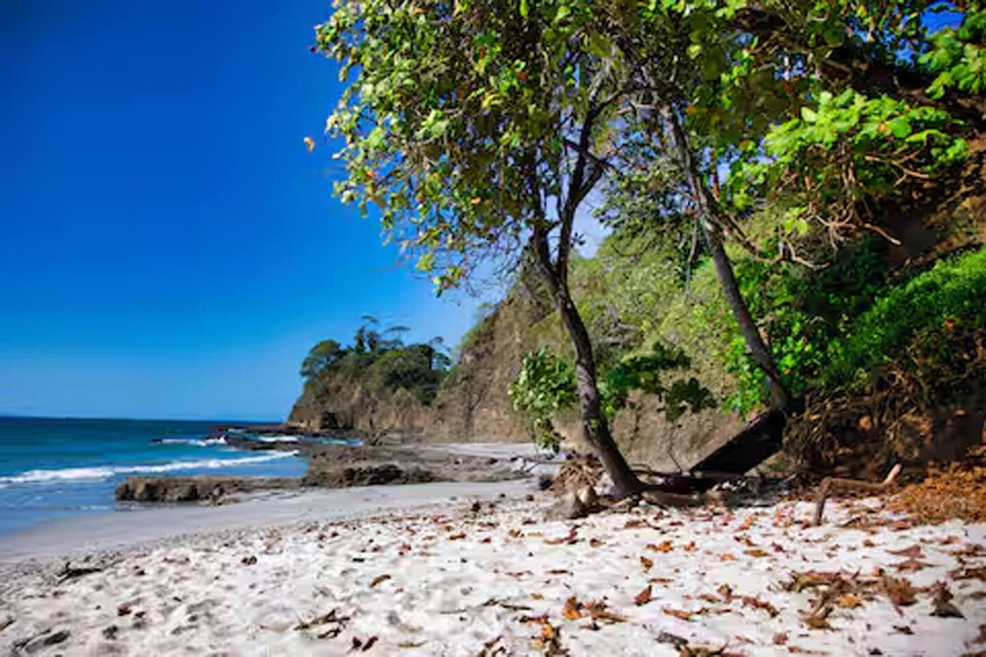 This small rocky point that rises over the water is what inspired the name of the Punta Leona resort in Playa Mantas. Some old locals say they can see the figure of a lioness in the shape of the point. It separates Playa Mantas from Playa Blanca.