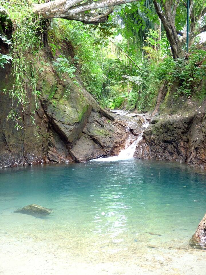 On the right side of Playa Mantas, you’ll find a small freshwater pond. You can see the little river path that crosses the property and enjoy views of the surrounding rainforest.