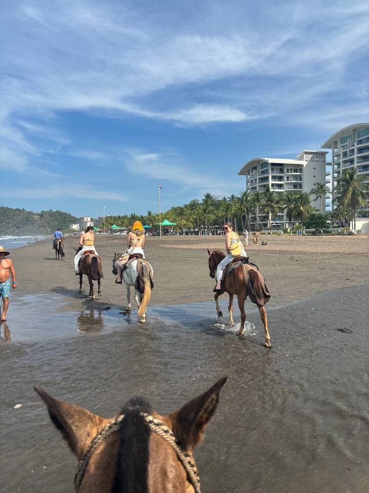 Horseback Riding in Jacó 
Enjoy a scenic ride on Jacó’s long beach, crossing small rivers with stunning ocean and jungle views. If you're lucky, you might spot a sloth at the north end. A must-do experience in the Central Pacific for nature lovers.