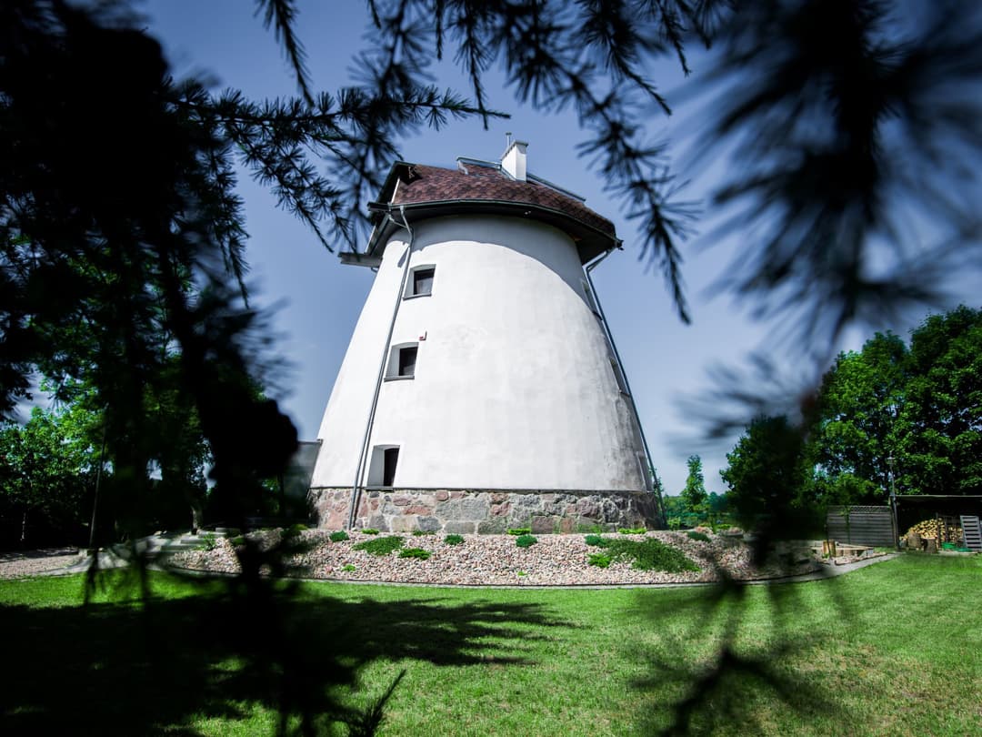 Large Image