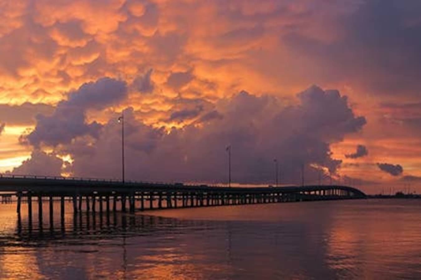 Barron Collier Bridge
