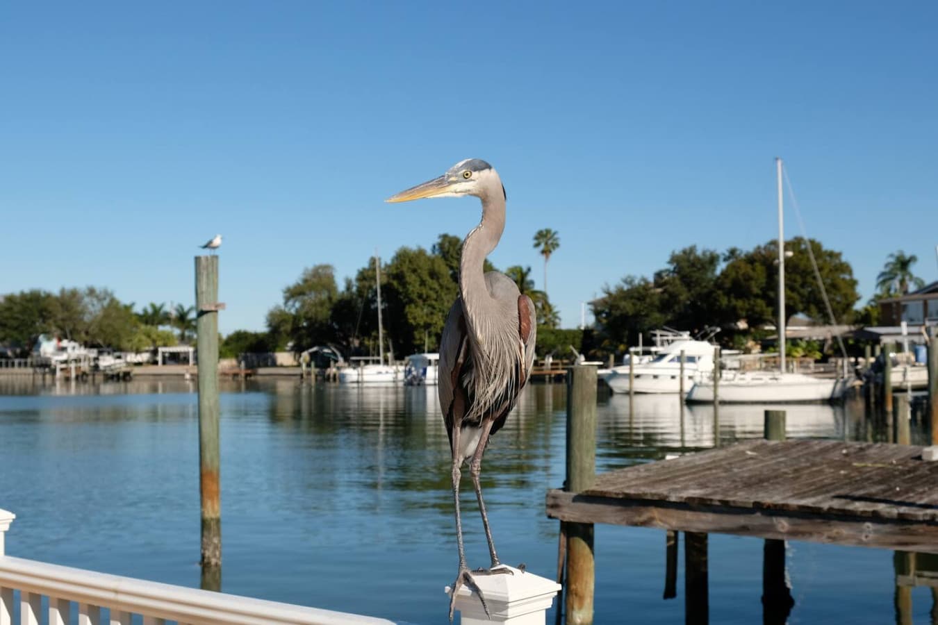 Boating in Punta Gorda