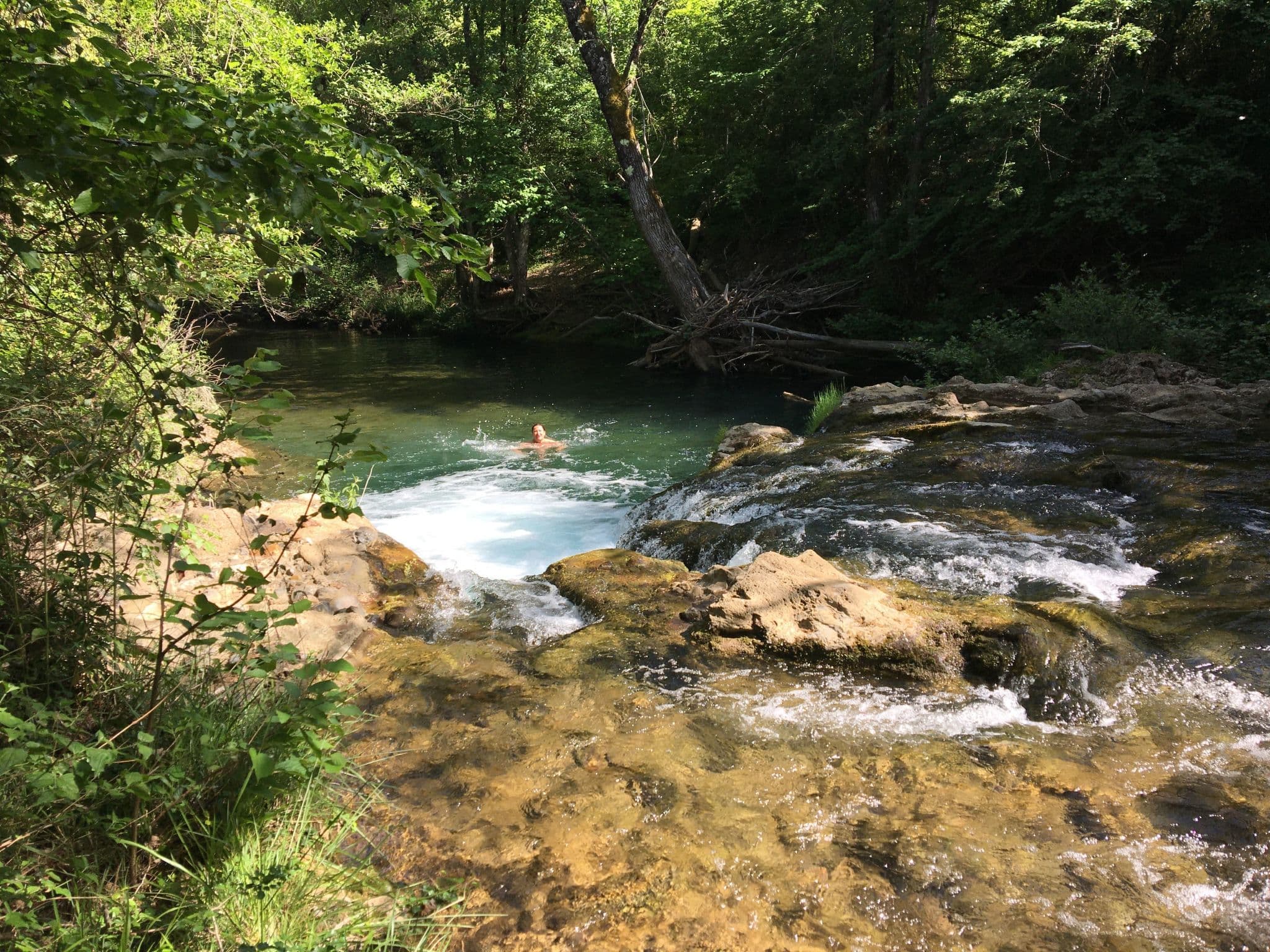 Gallery Image 51