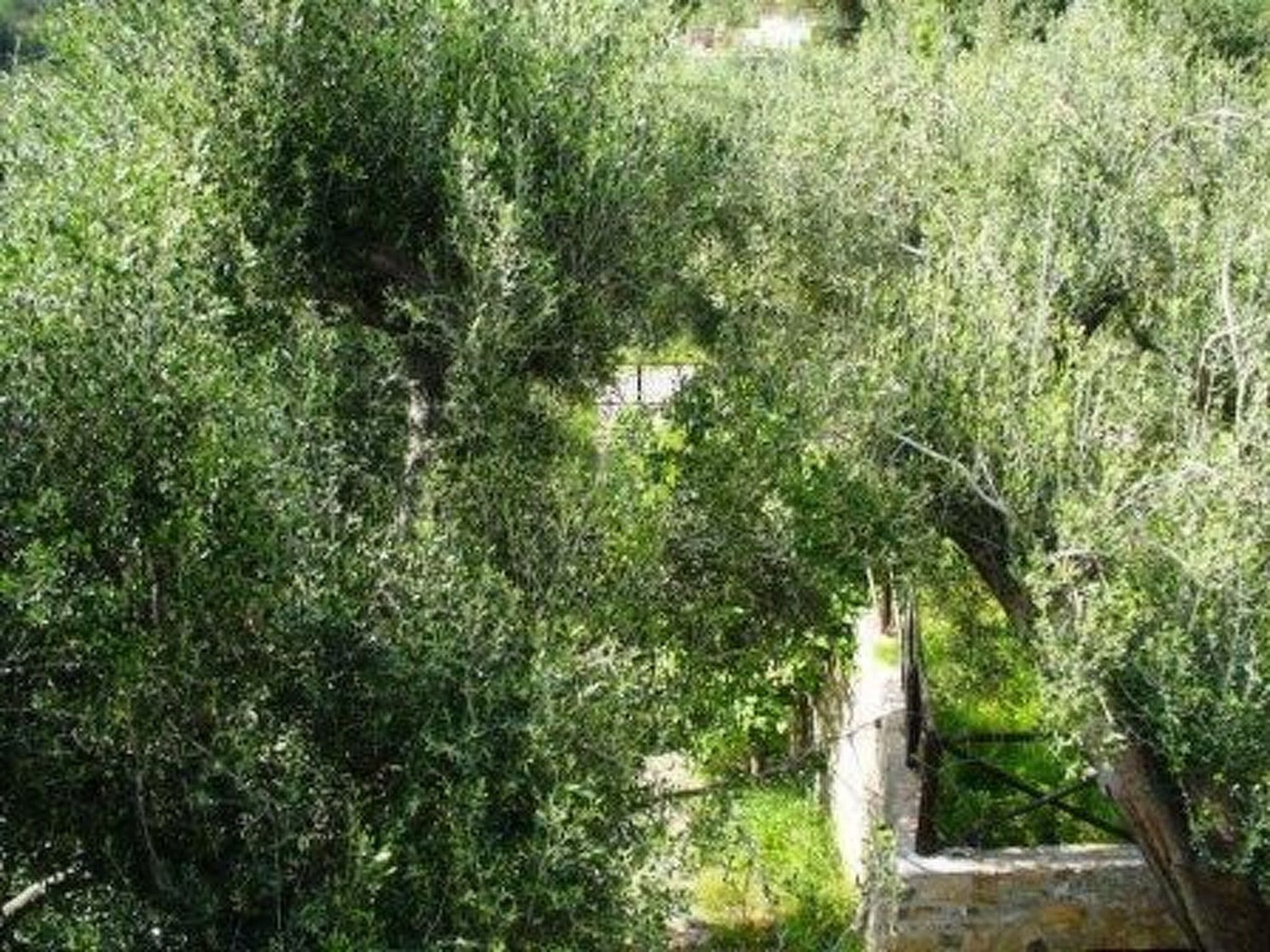 Gallery Image 39