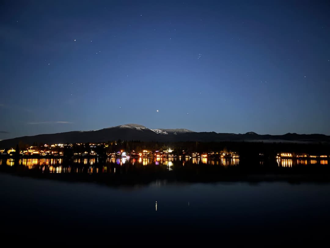 Large Image