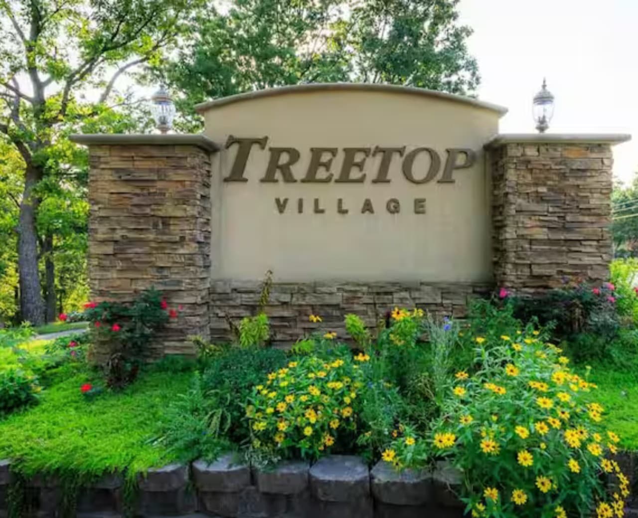 185_treetop.png
