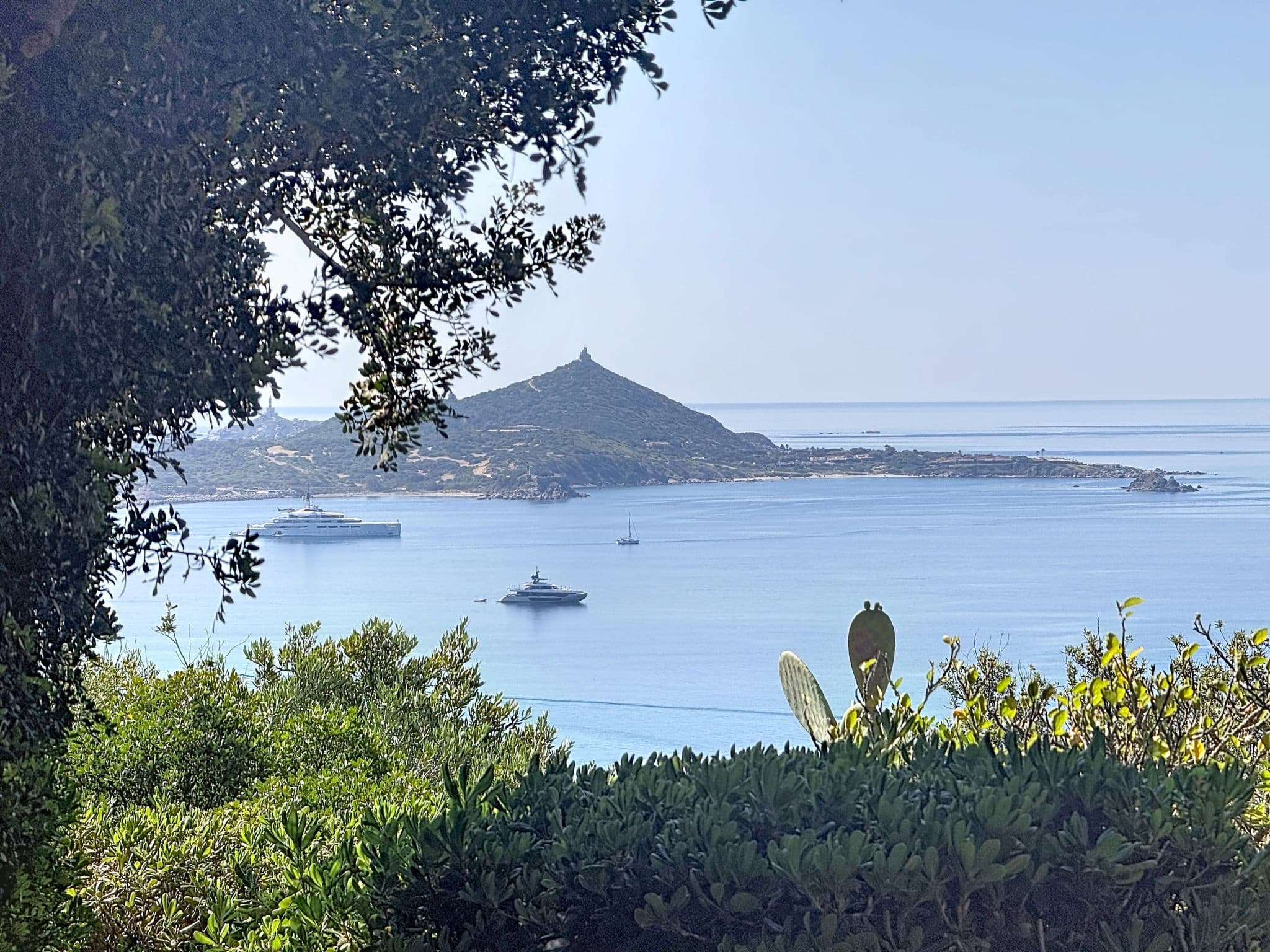 View