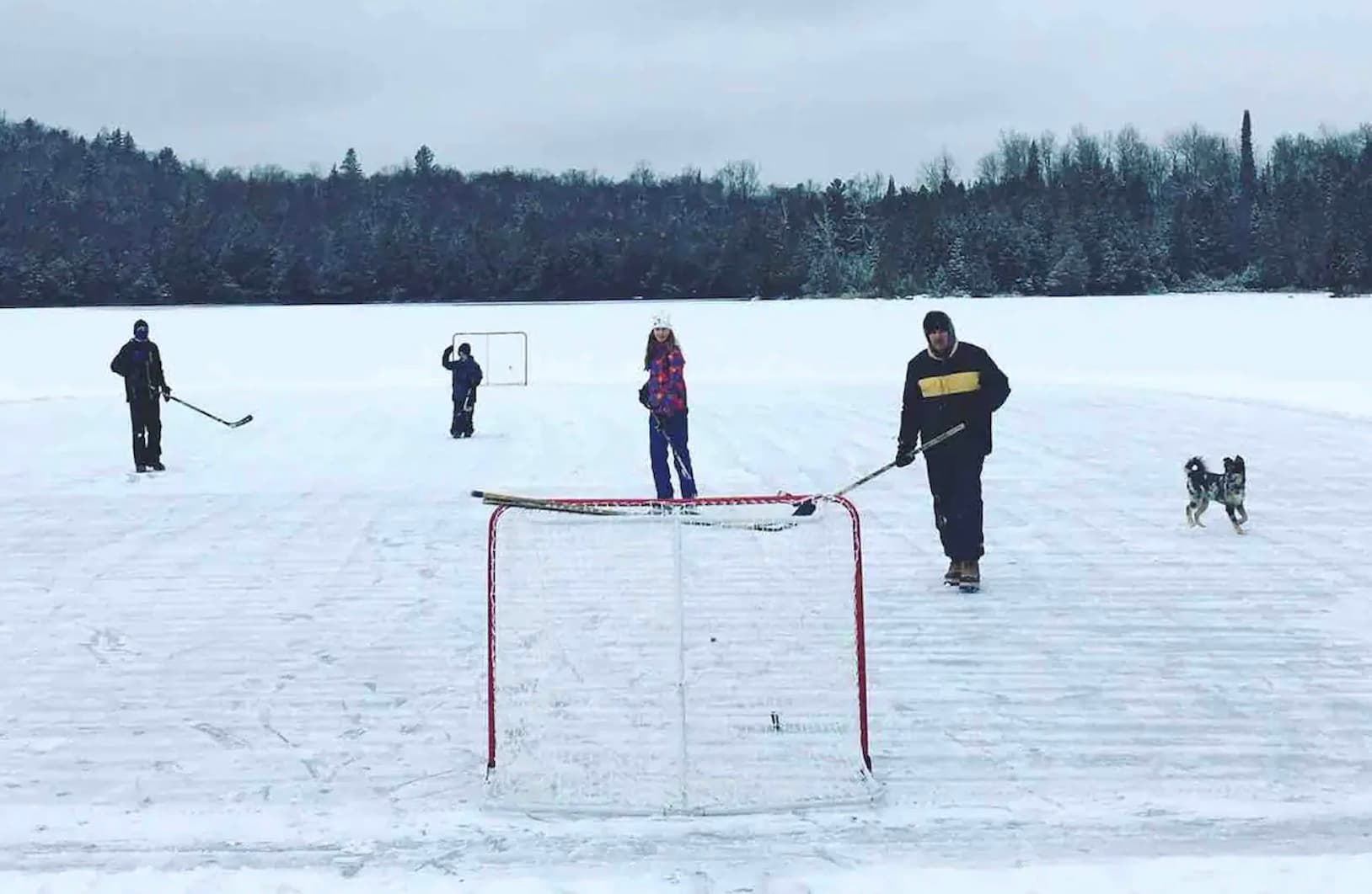 Rink