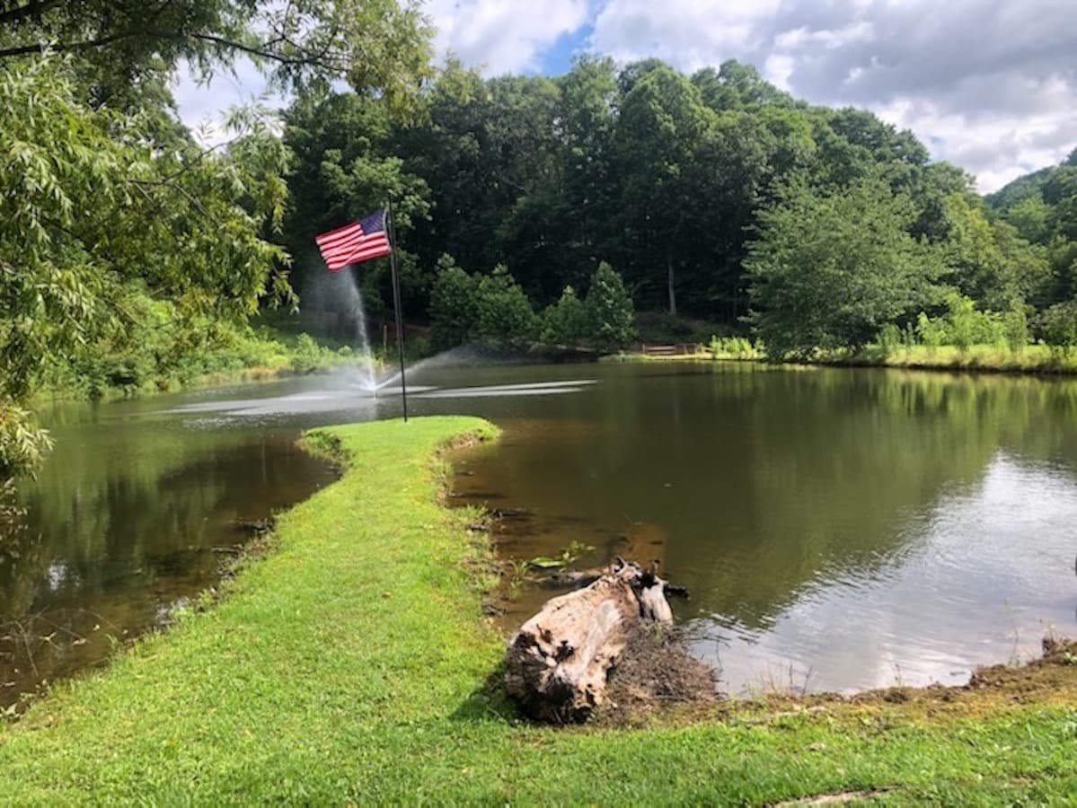 Pond from wooden swing. 