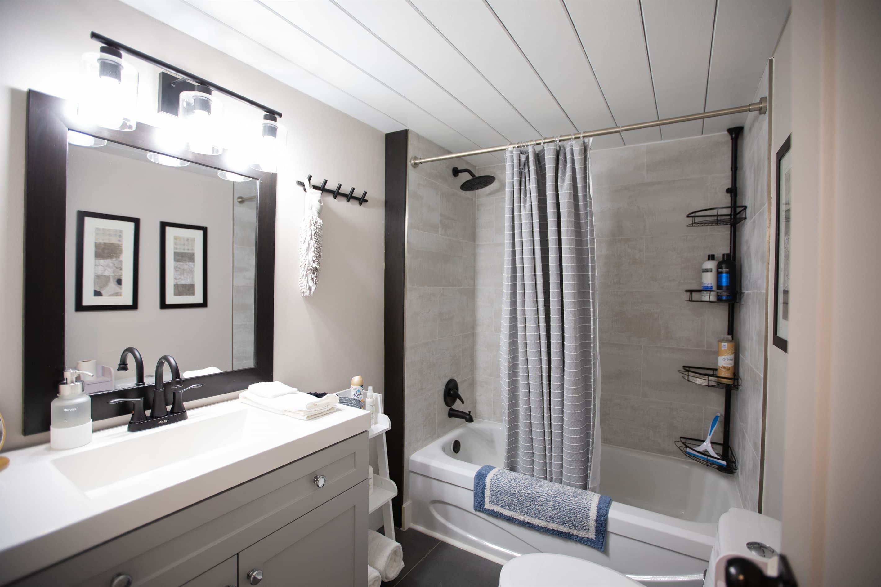 Family-friendly bathroom with rain head shower, shampoo, bath toys, baby potty, and extra add ones to delight both the young and young-at-heart.