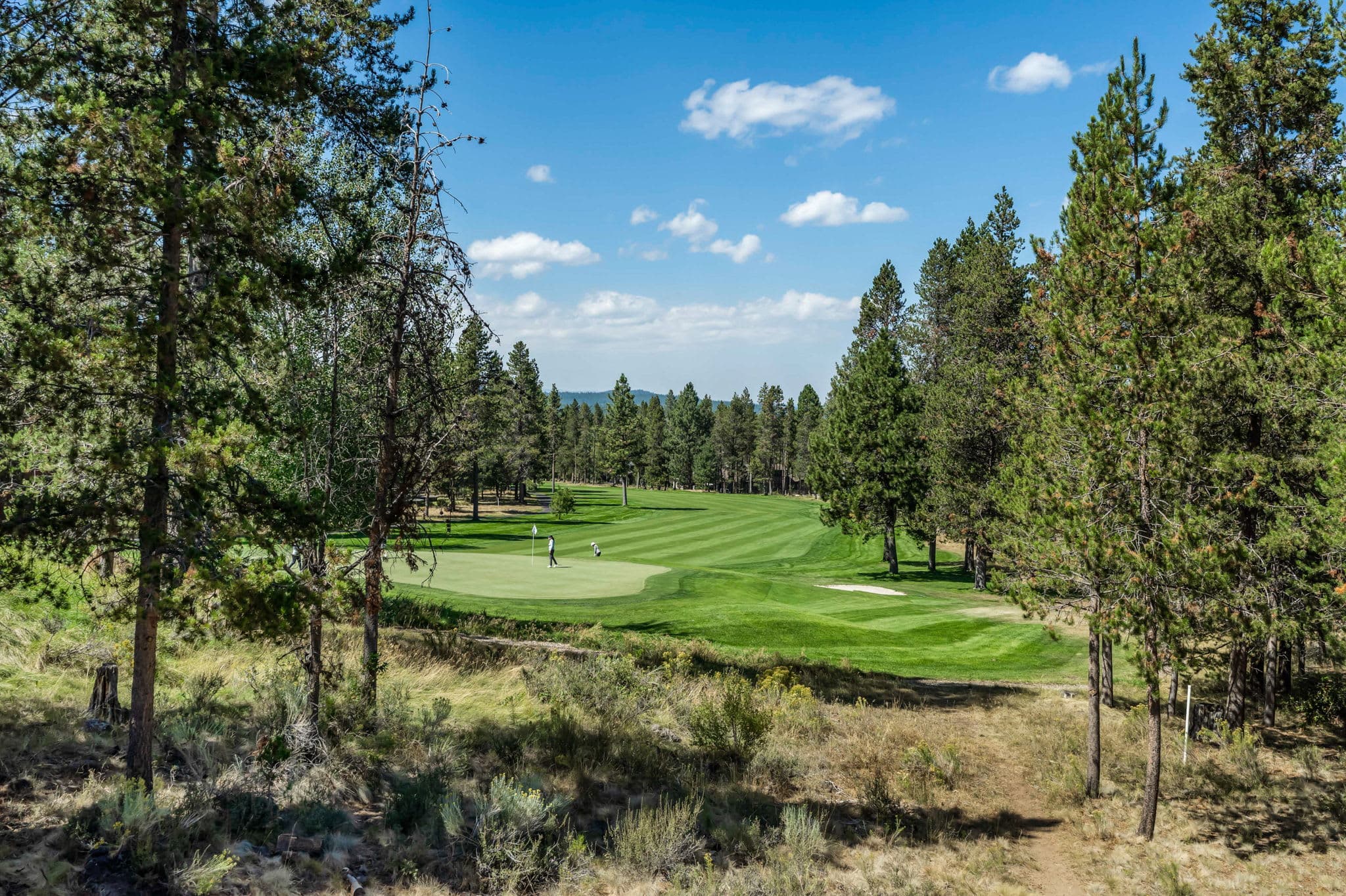 Tan Oak Golf View