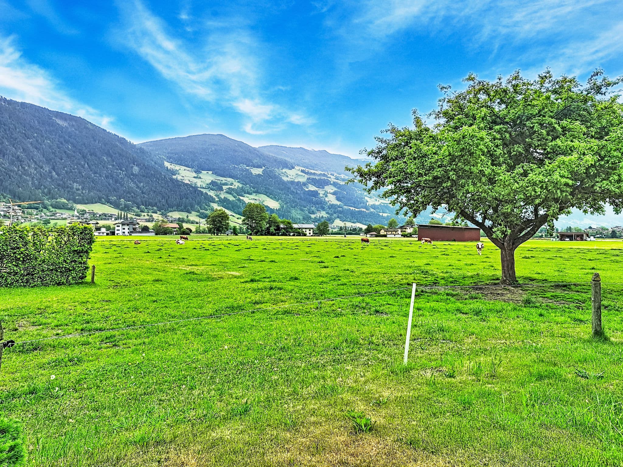 Outdoor
