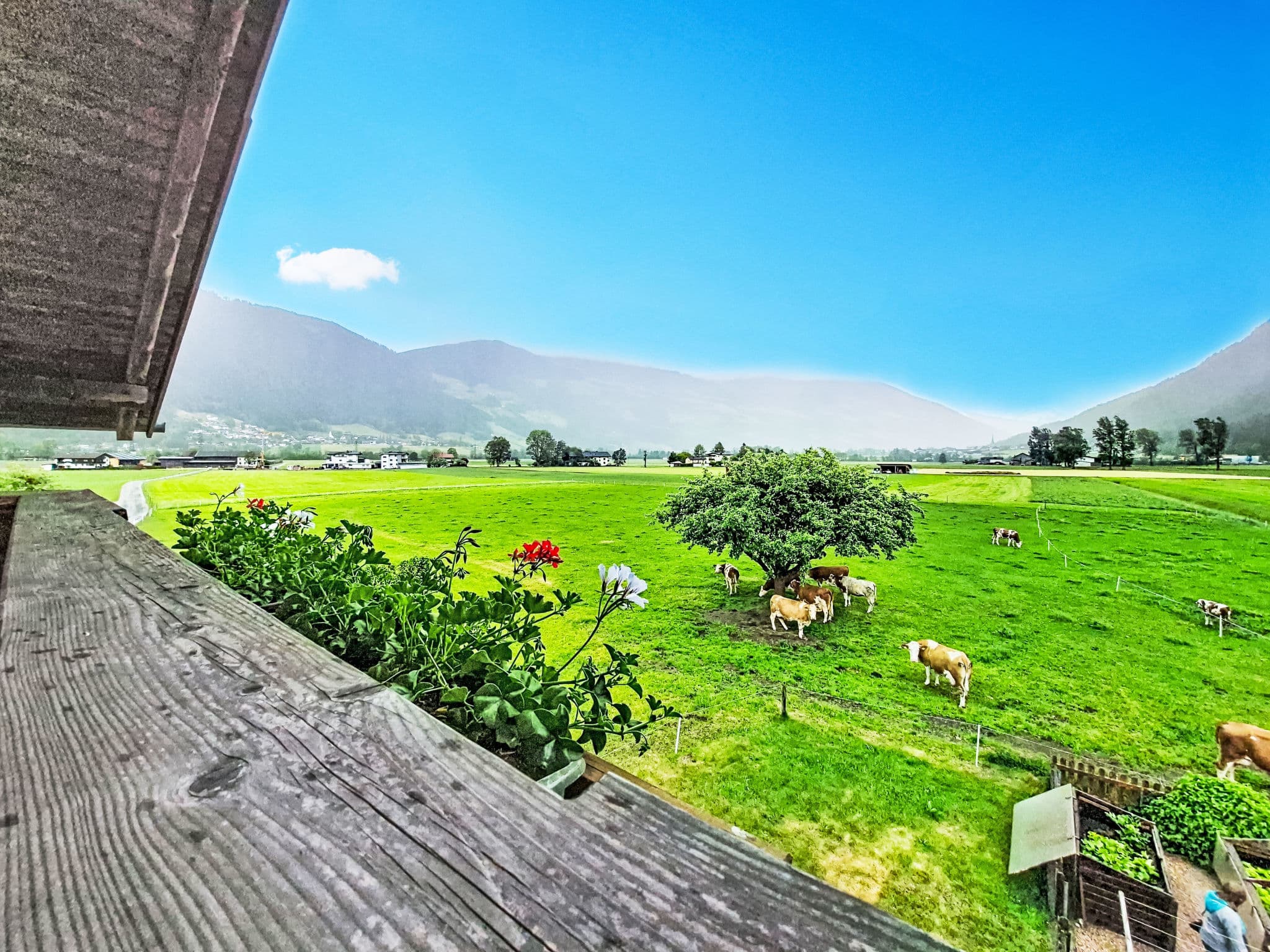 View