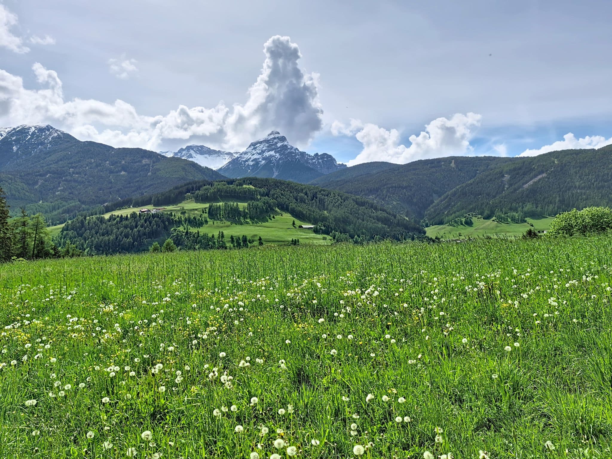 View