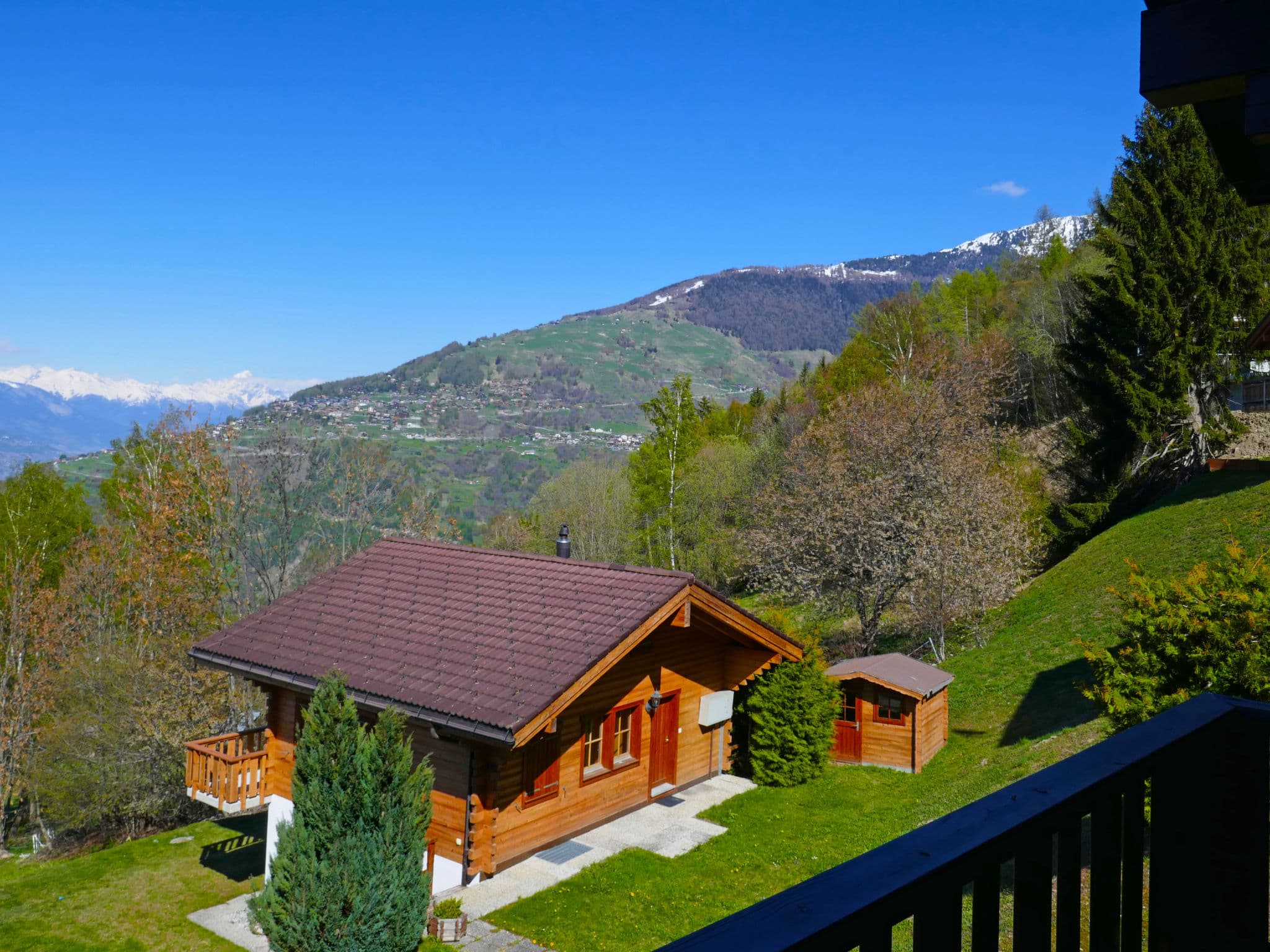 View