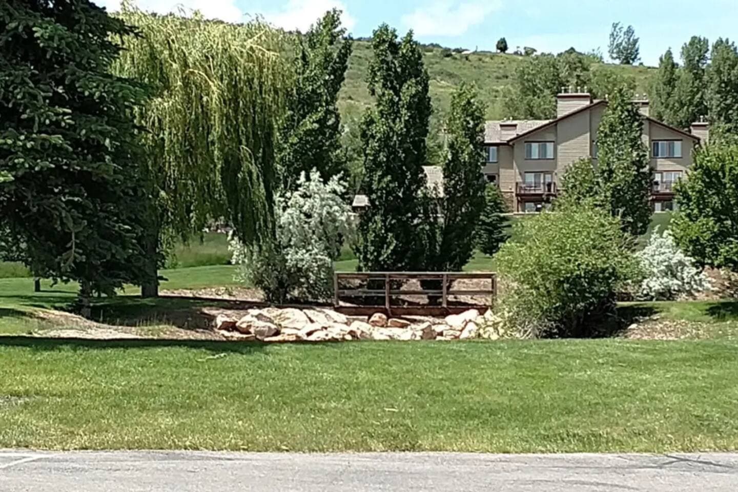 Gallery Image 11