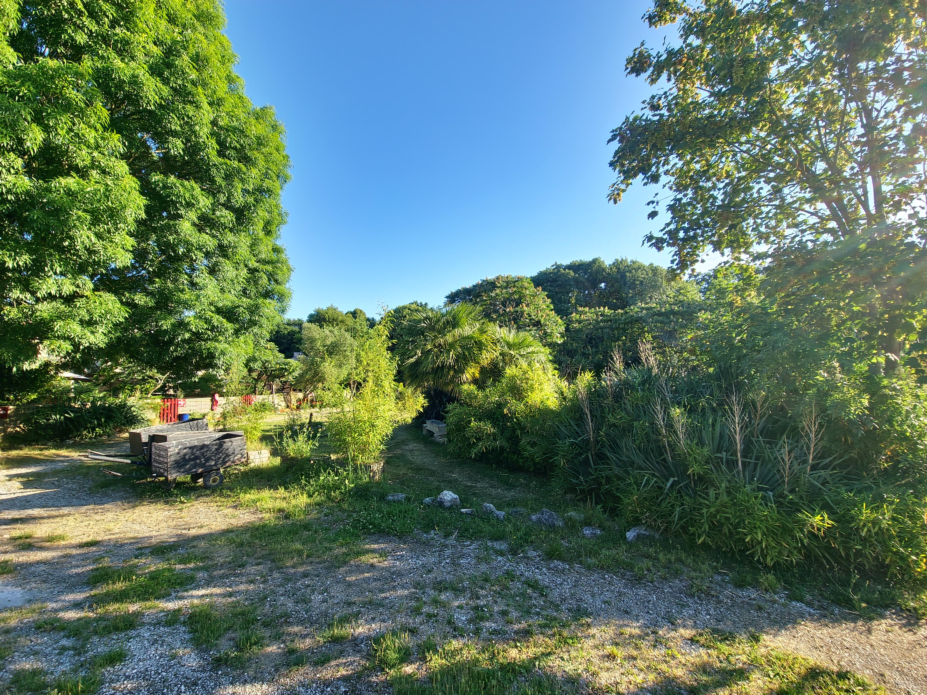 02 pont bois promenade