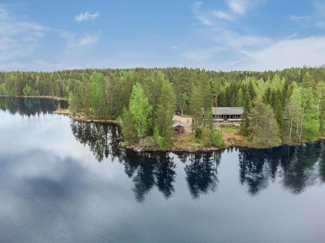 Large Image